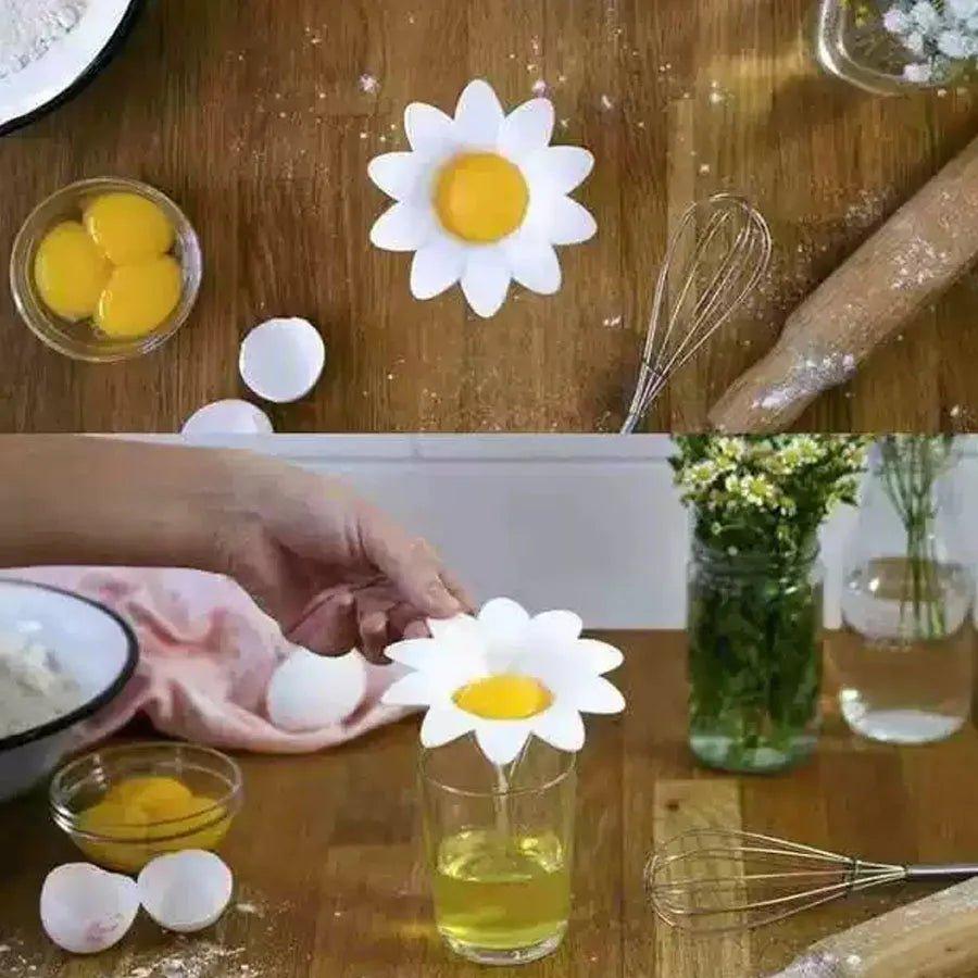 Daisy Design Kitchen Egg Separator PP Eco - Friendly Egg Yolk Protein Filtration Tool for Separating Egg White And Yolk - Tropical Treasures LTD
