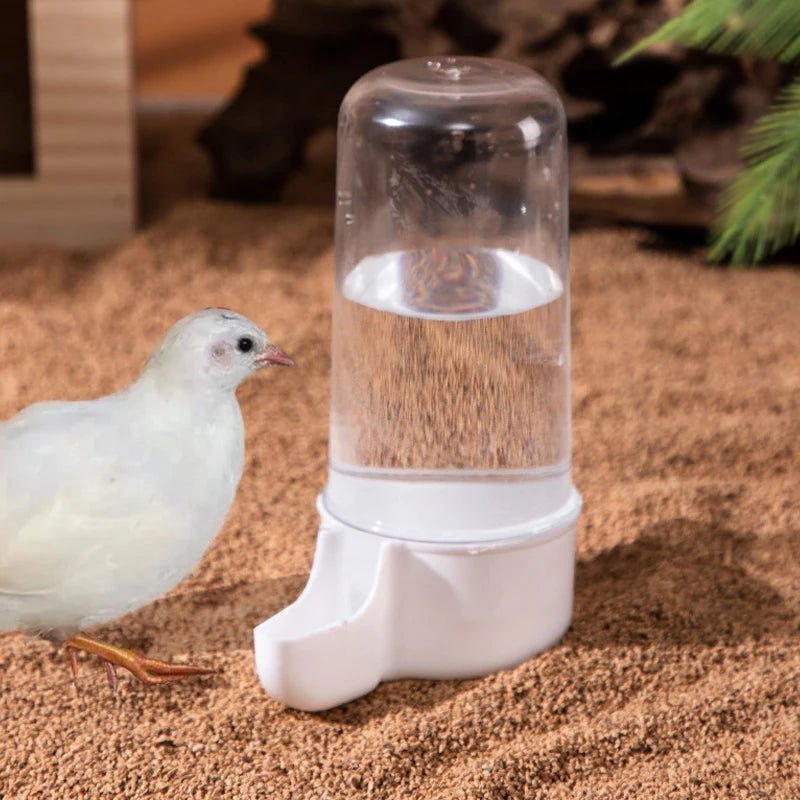 Rutin Chicken Automatic Food Feeder Large Capacity Anti - overturning Food Box Poultry Feeding Supplies Clear Food Dispenser - Tropical Treasures LTD