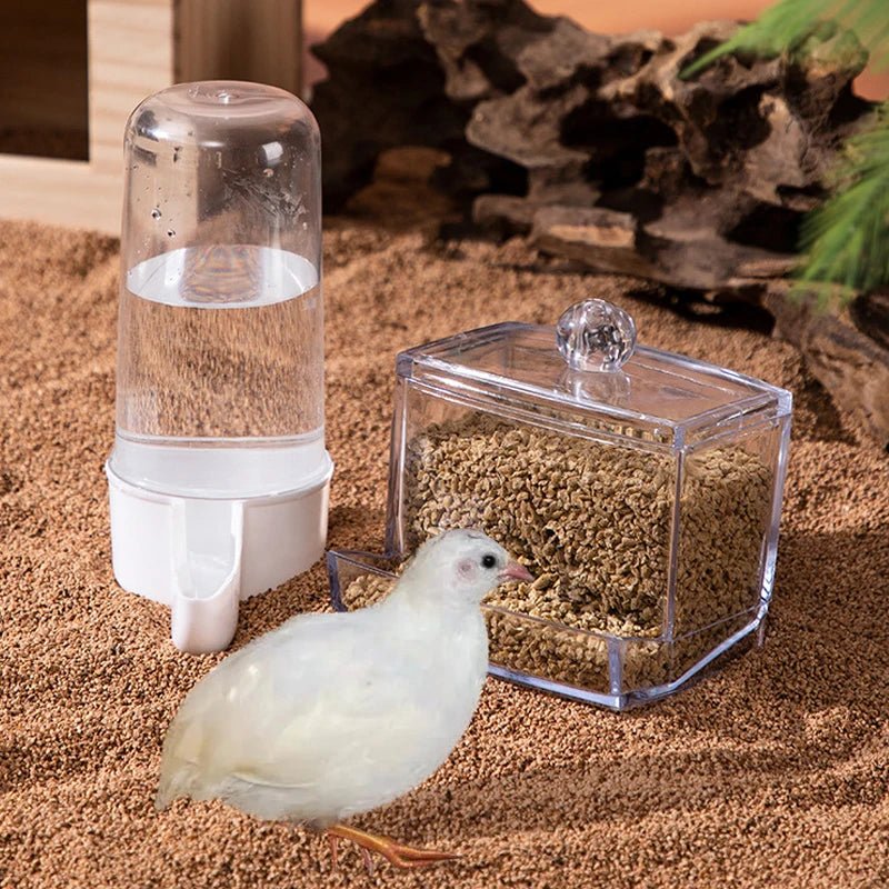 Rutin Chicken Automatic Food Feeder Large Capacity Anti - overturning Food Box Poultry Feeding Supplies Clear Food Dispenser - Tropical Treasures LTD